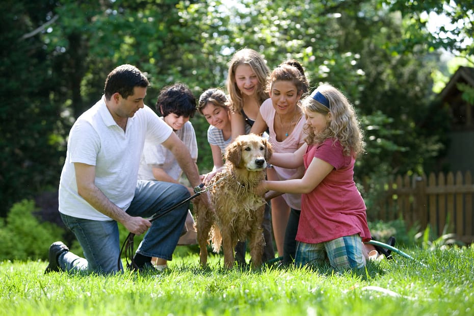 Patchworkfamilie